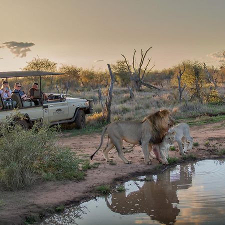 Tuningi Safari Lodge Защитен резерват „Мадикве“ Екстериор снимка