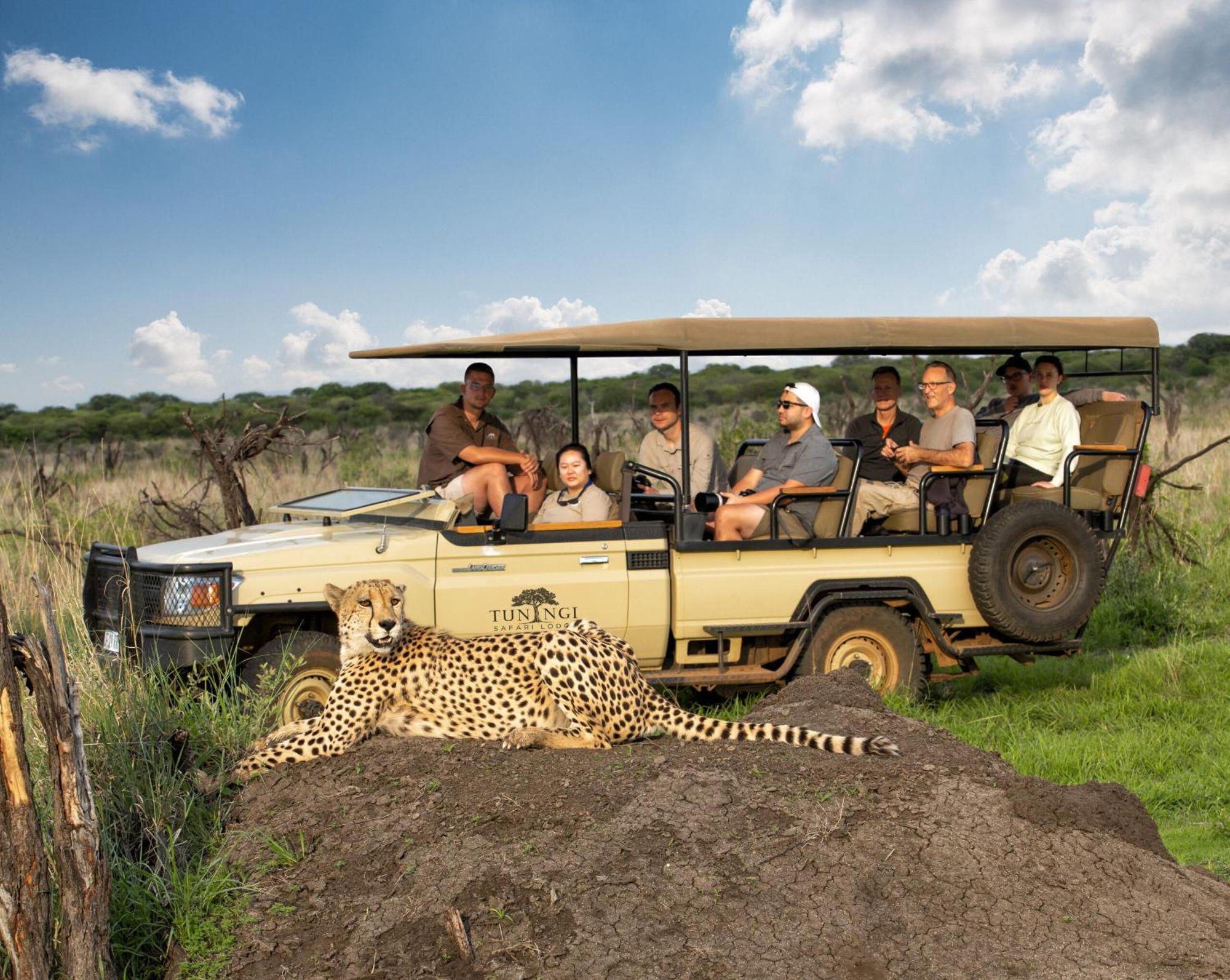 Tuningi Safari Lodge Защитен резерват „Мадикве“ Екстериор снимка