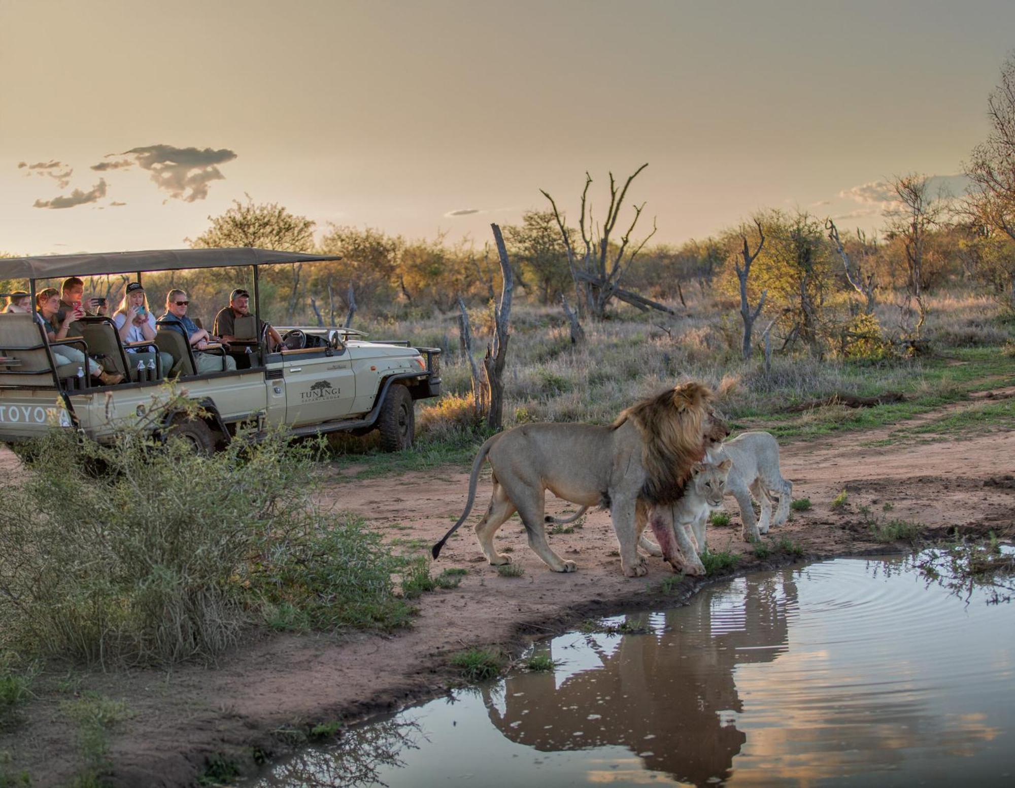 Tuningi Safari Lodge Защитен резерват „Мадикве“ Екстериор снимка